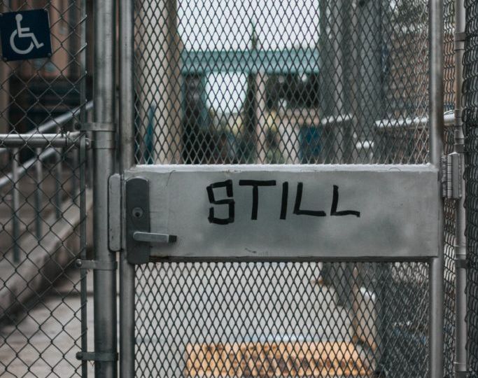 Image of door in chainlink fence that says "Still Free"